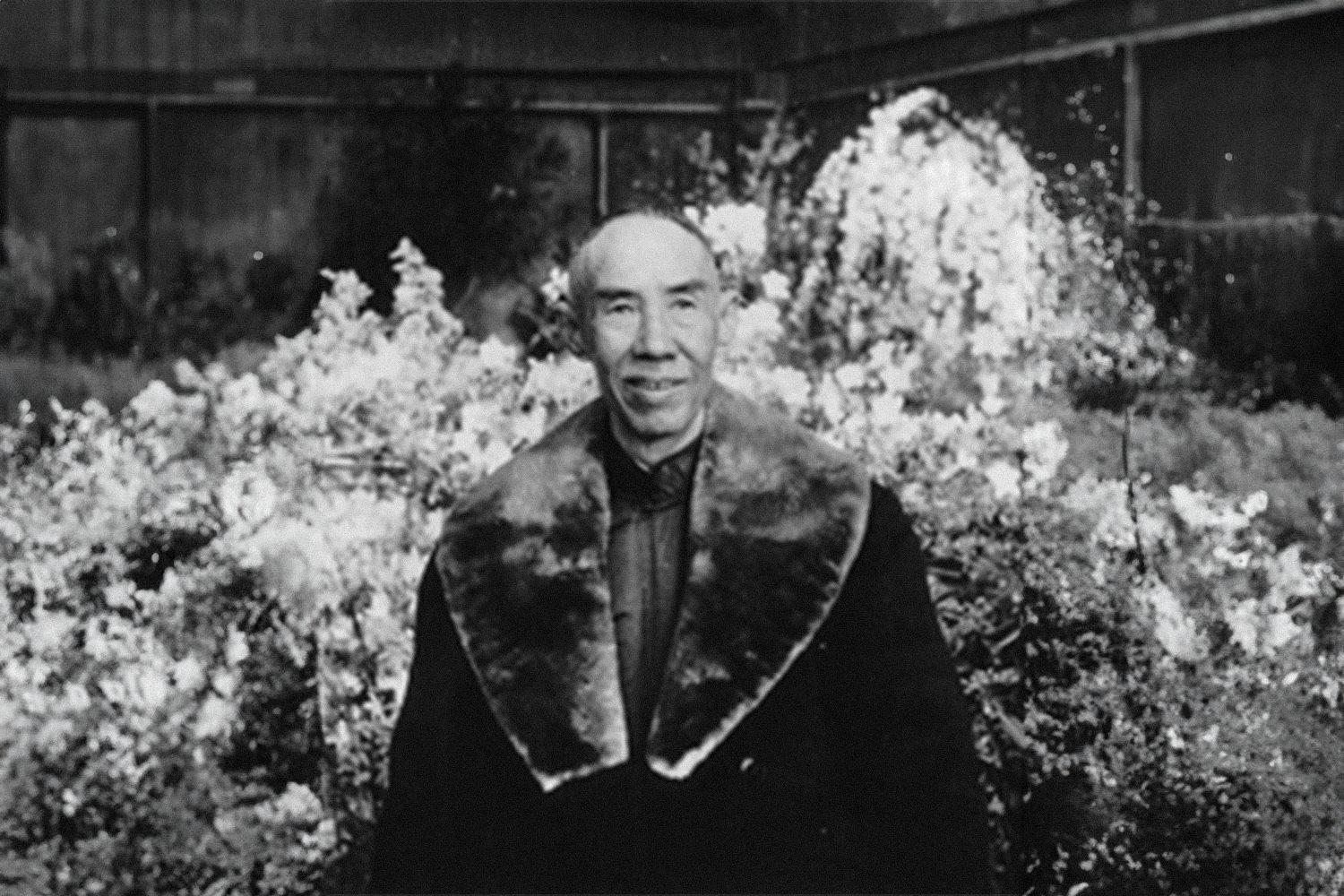 Da Cheng Chuan : la science de la boxe chinoise.